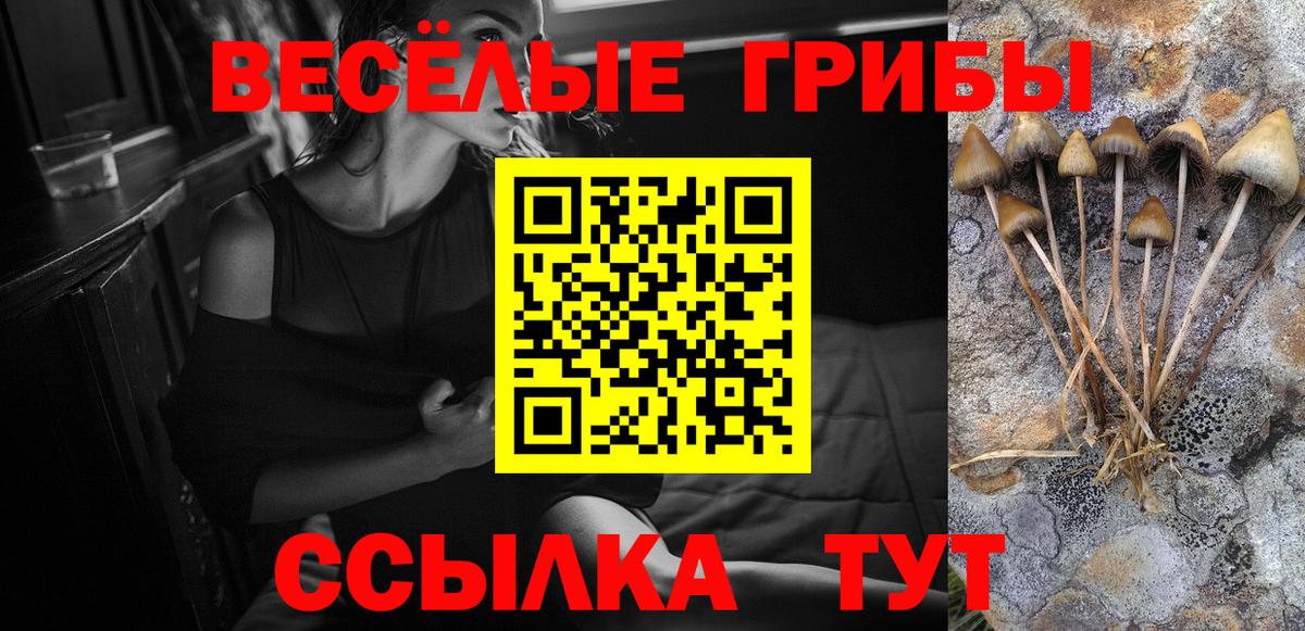 Галлюциногенные грибы Psilocybine cubensis  Вход с VPN  Семилуки  Галлюциногенные грибы GOLDEN TEACHER 